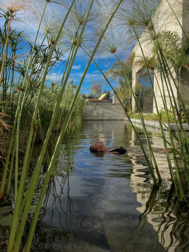 natural pool with plants and fish at Cuna del Cielo woman in a black bikini floating in a natural pool with plants and fish at Cuna del Cielo next to the unique stay