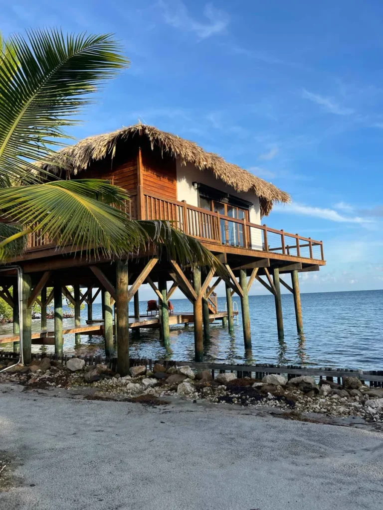 overwater bungalow on wooden supports on the beach with some palm trees at little peter oasis, a private island rental in belize