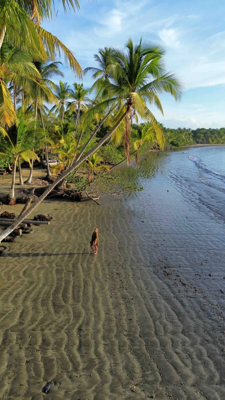 Punta Bejuco in Boca Chica