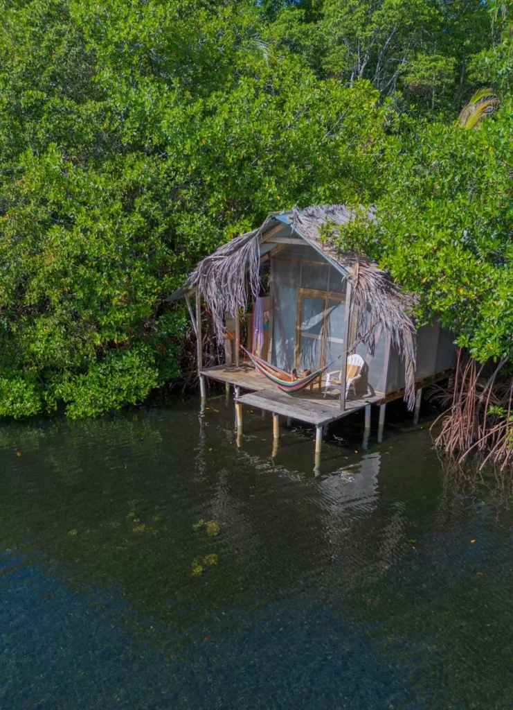 small overwater bungalow in the middle of mangroves with a straw roof and a hammock on the wooden porch