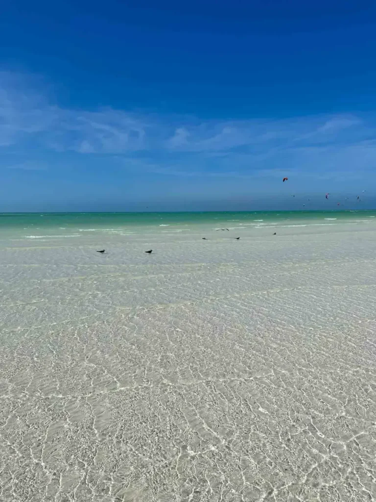 white shallow beach with crystal clear water and a few birds