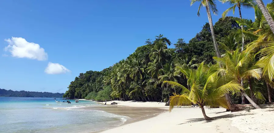white sandy beach with crystal clear water and lush coconut palmtrees