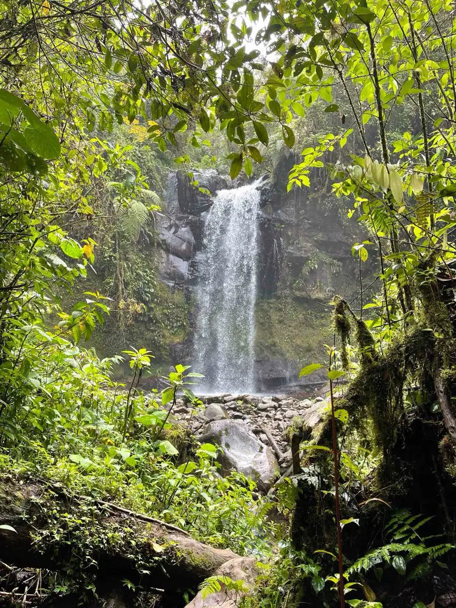 San Blas – my favorite place in Panama large waterfall in the jungle surrounded by lush green plants and some rocks