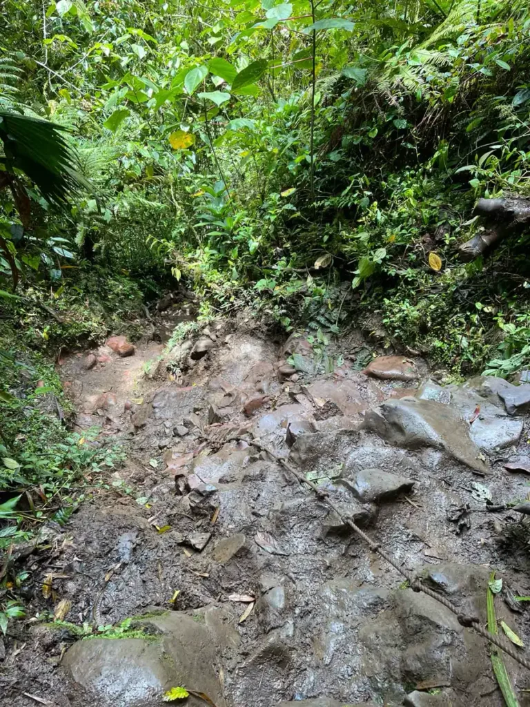 ropes on a rocky and muddy part of a hiking trail surrounded by lush jungle
