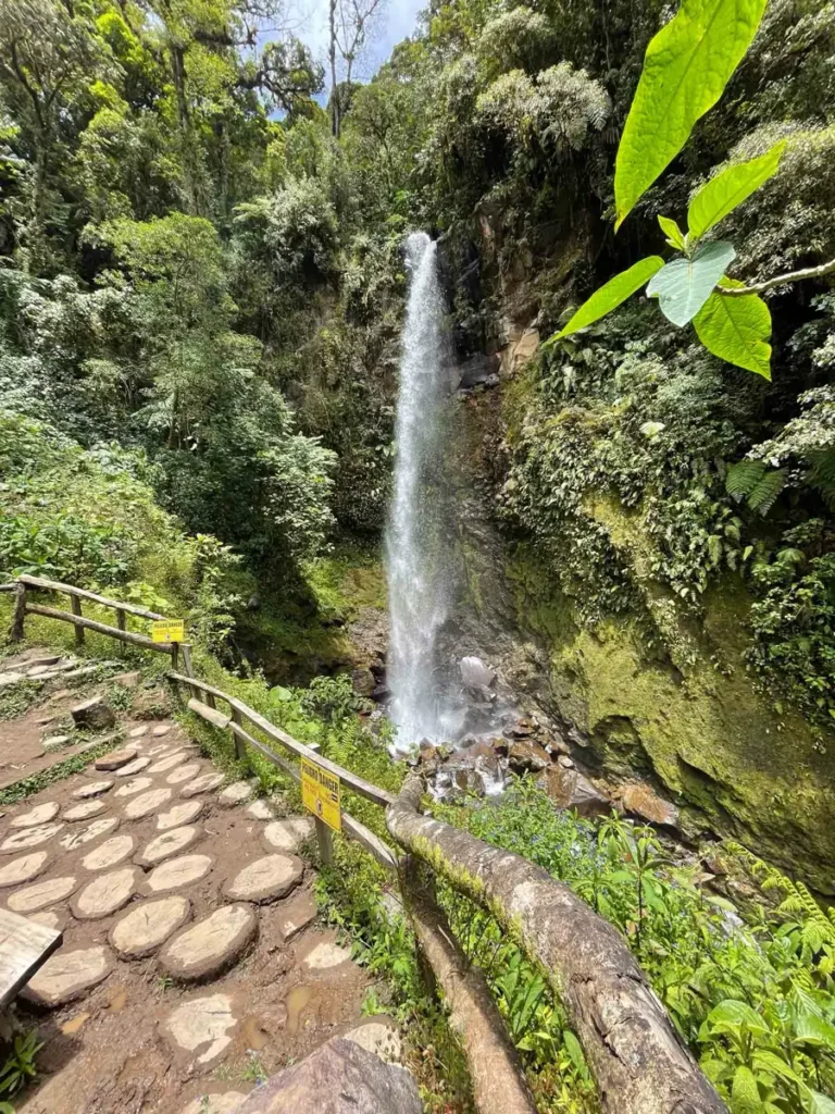 waterfall in the jungle with lush surroundings and a hiking trail with wooden armrails