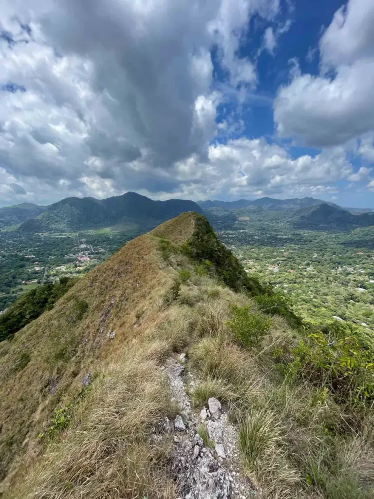 grassy hill or ridge with a view of a volanic crater with lush vegetation in the background