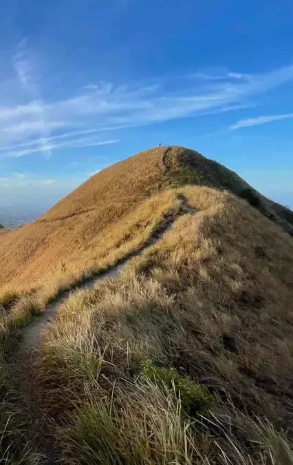 grassy and hilly landscapes with golden sunrise light and a view in the distance