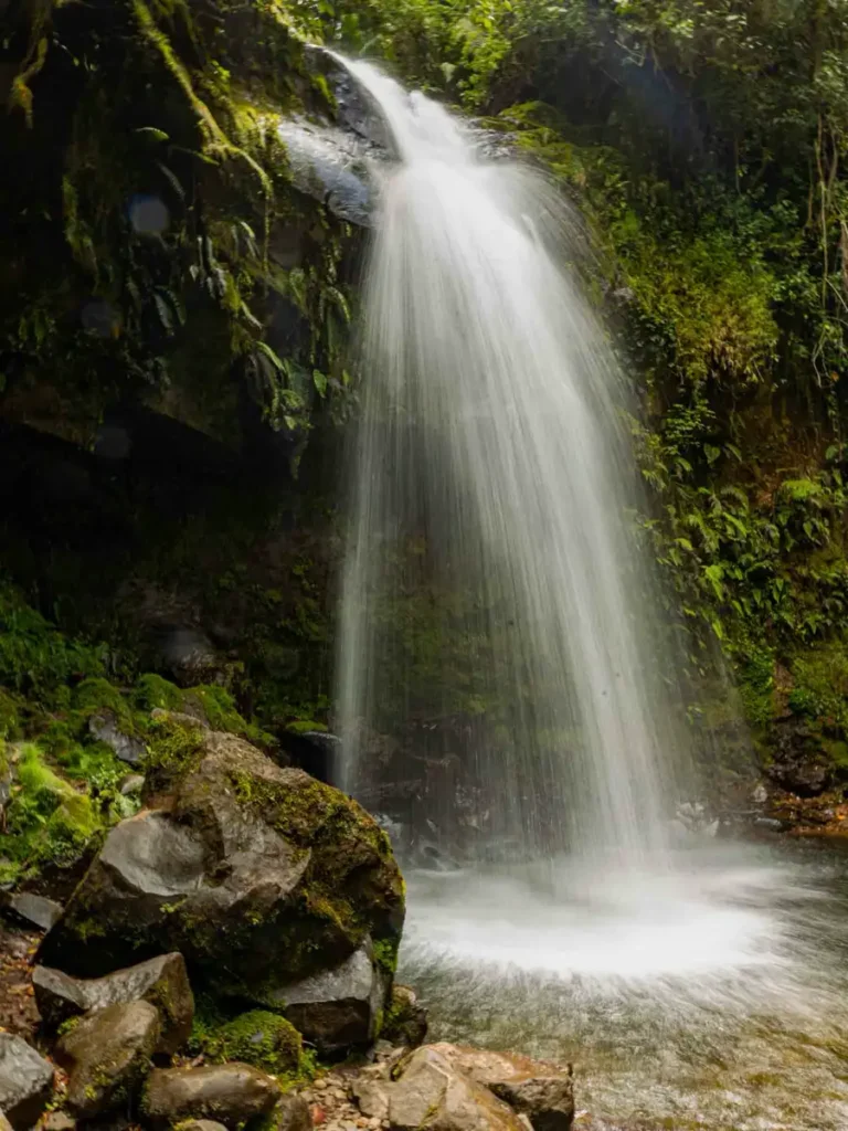 waterfall in the jungle pouring down from a large rock drop