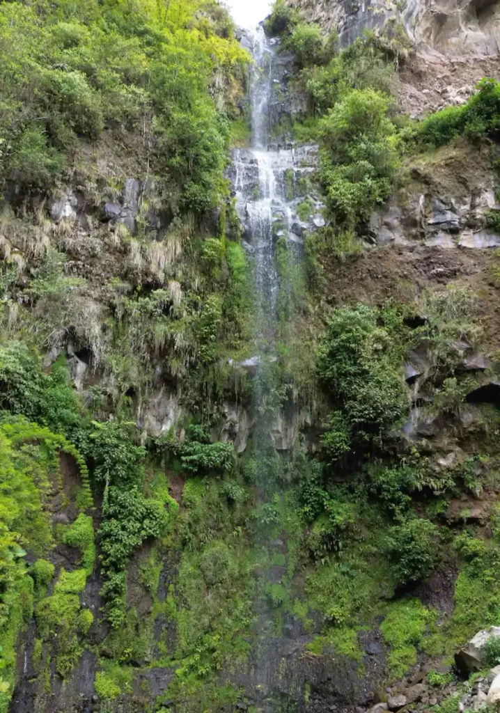waterfall with only a bit of water running down a mossy and rocky cliff