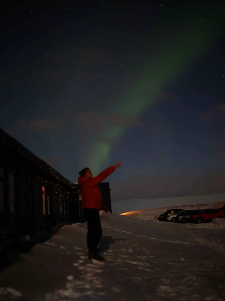 woman in a winter jacket pointing at the green northern lights in a snowy landscape
