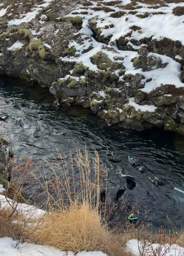 a few people  doing the bucketlist experience: snorkeling in a small body of water in between two continental plates in a rocky snowy landscape in iceland
