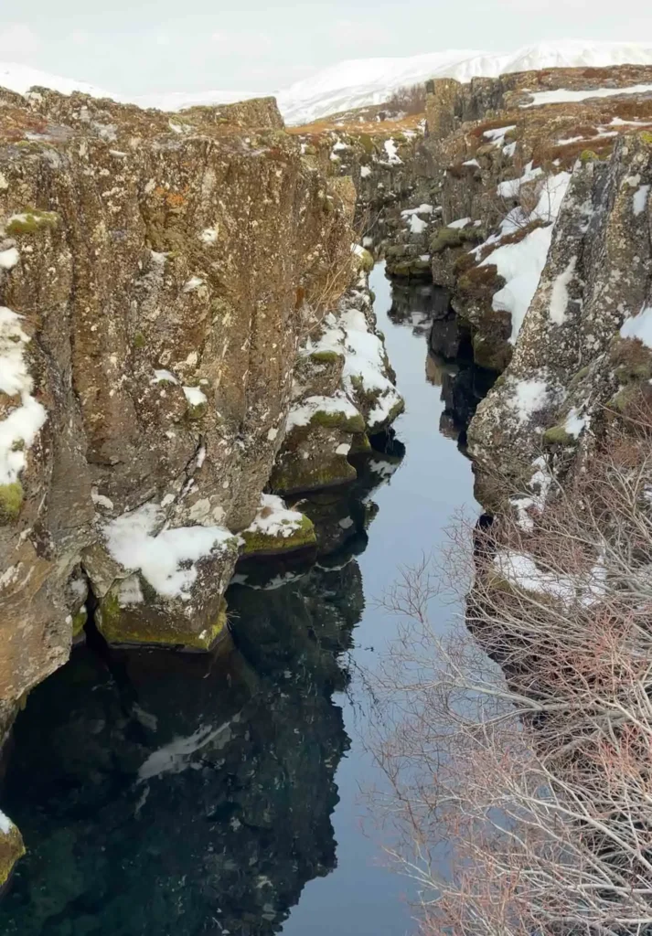 rocky small volcanic canyon in a mainly snowy landscape with a small river at pingvellir national park in iceland
