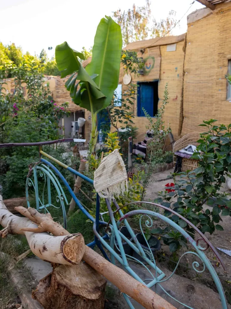 traditional mud house with plants in front including banana trees and random decoration articles like a bicycle