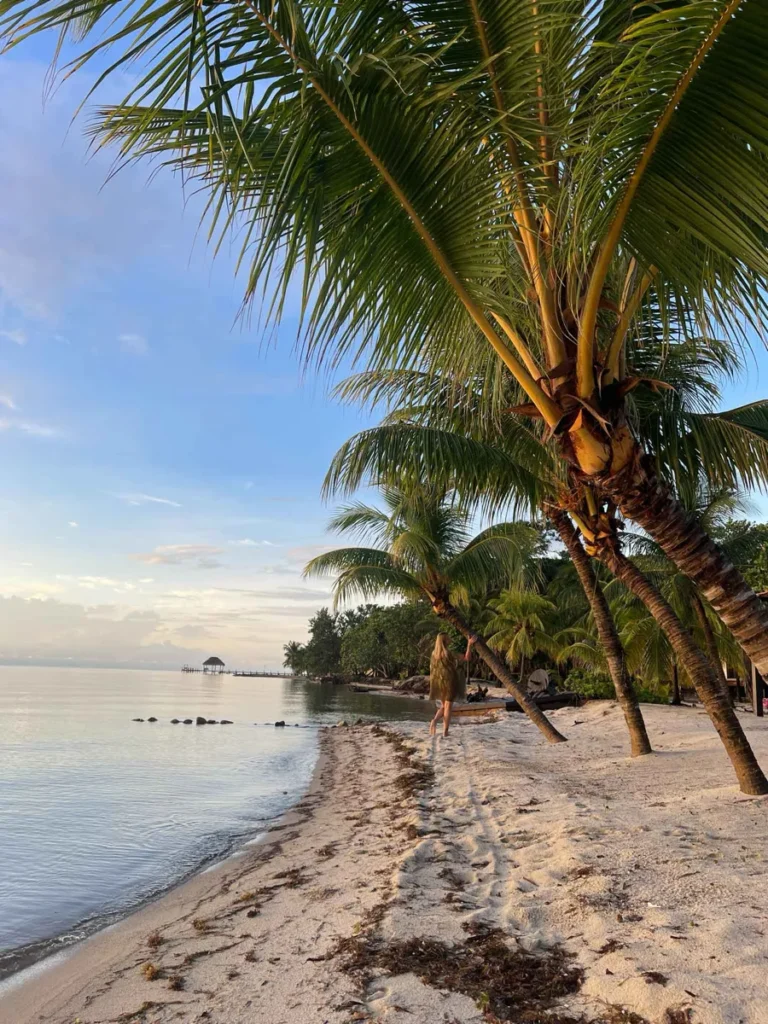blonde woman walking on the beach with some calm flat water and lots of palm trees at naia resort & spa in placencia belize