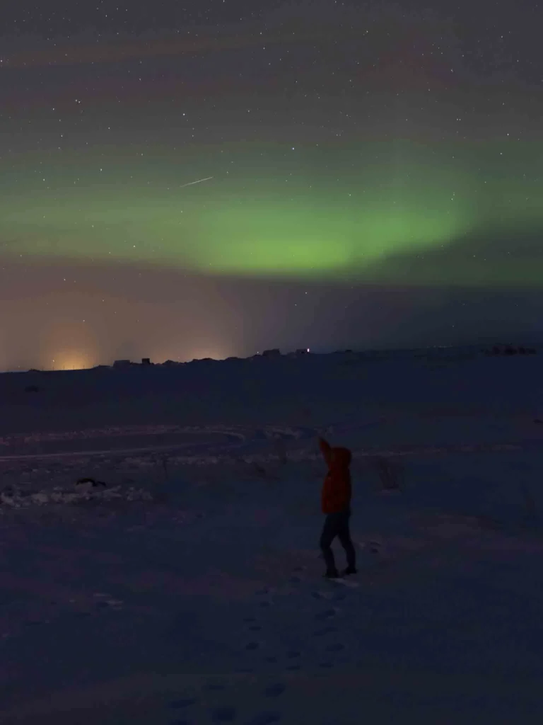 woman in a winter jacket pointing at the green northern lights in the sky in a snowy landscape