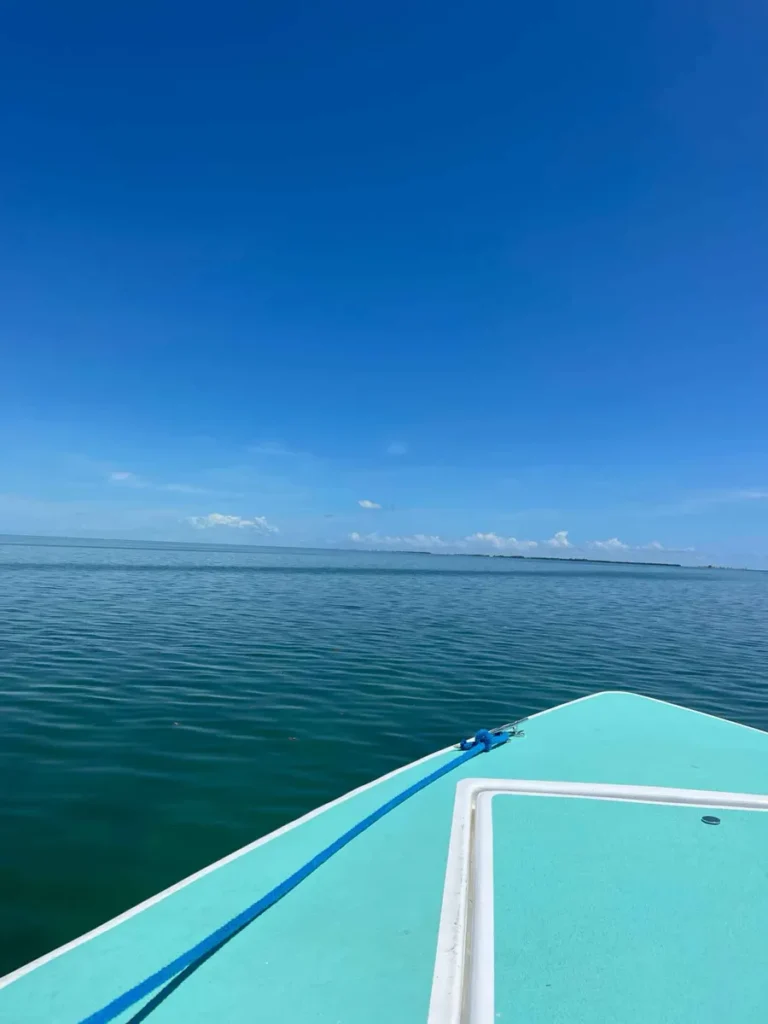 picture of the front top of a turquoise boat looking the ocean and blue sky going from boat from Belize City to Caye Caulker 