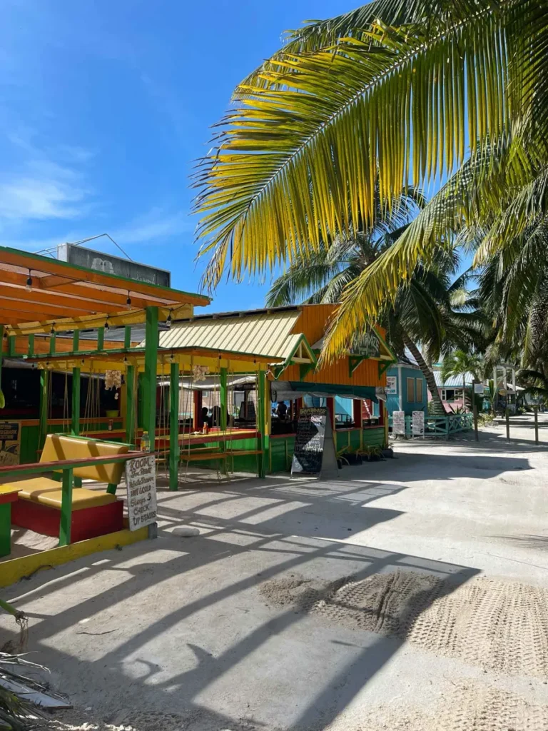 colorful yellow wooden restaurant and bar huts at the beach with palm trees at caye caulker in belize