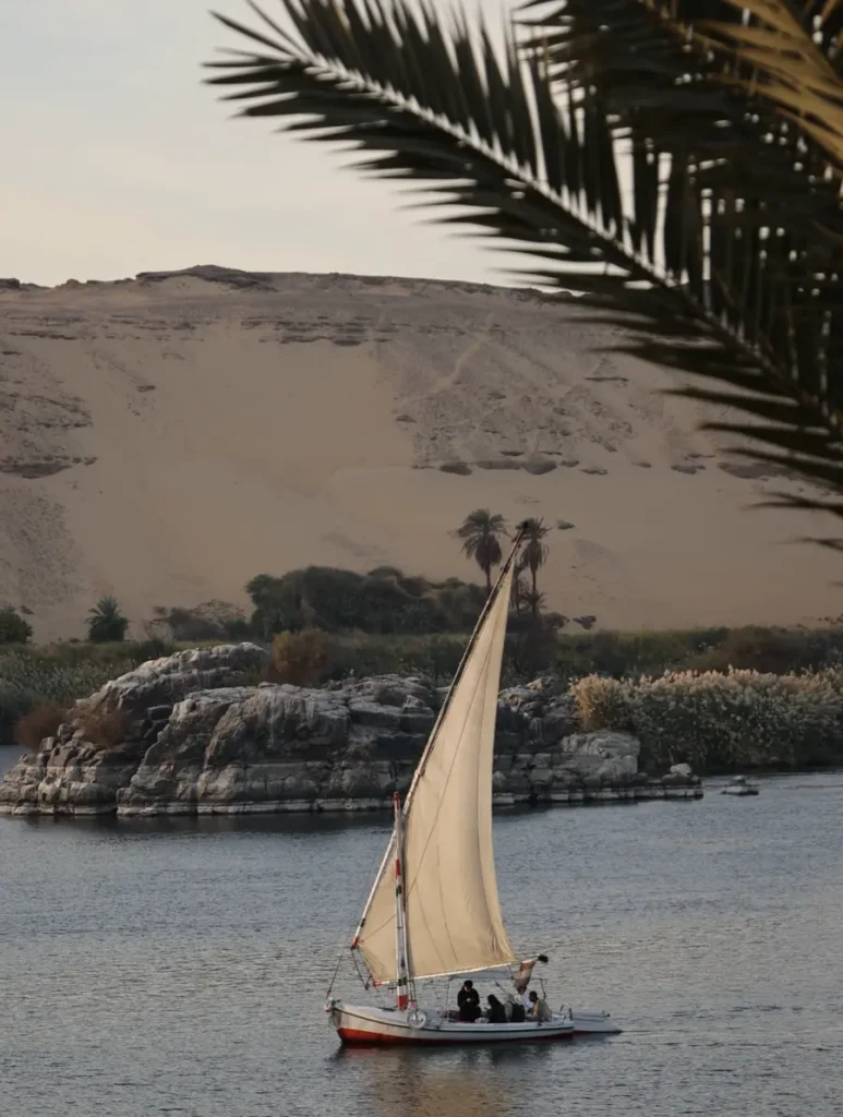 traditional sailing boat on the Nile with palmtree in the foreground and sand dunes in the back