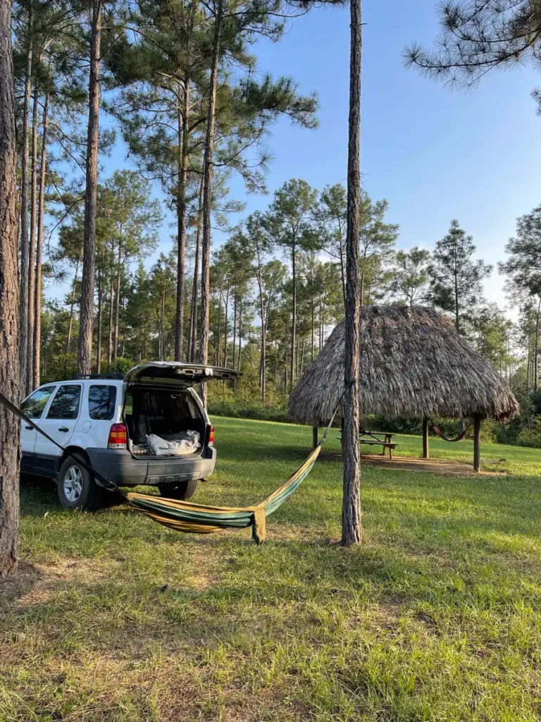 white car parked at the 
San Miguel Campground on green grass between pine trees and a small wodden hut in the back at mountain pine ridge reserve in belize