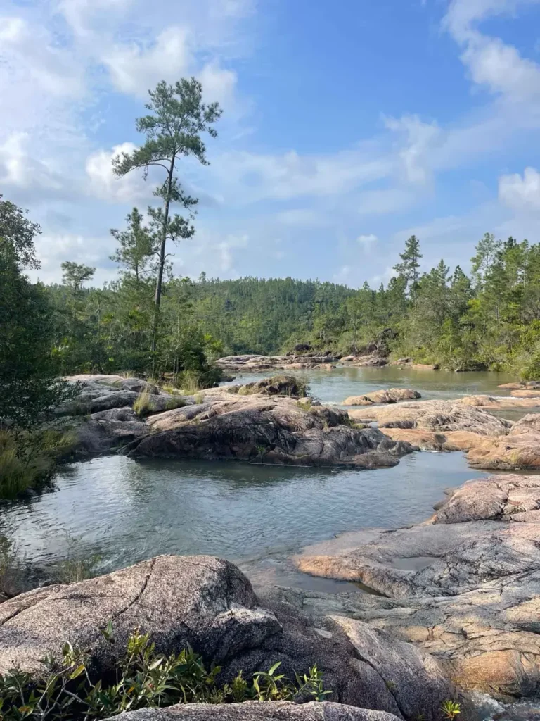 rocks forming some natural pools rio on pools surrounded by a pine forest a mountain pine ridge reserve in belize