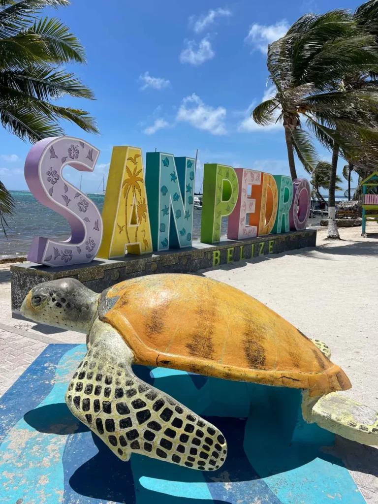 colorful statue of a turtle with big letters of san pedro in the back the the beach looking at the sea in between palm trees at San Pedro, Ambergris Caye in belize