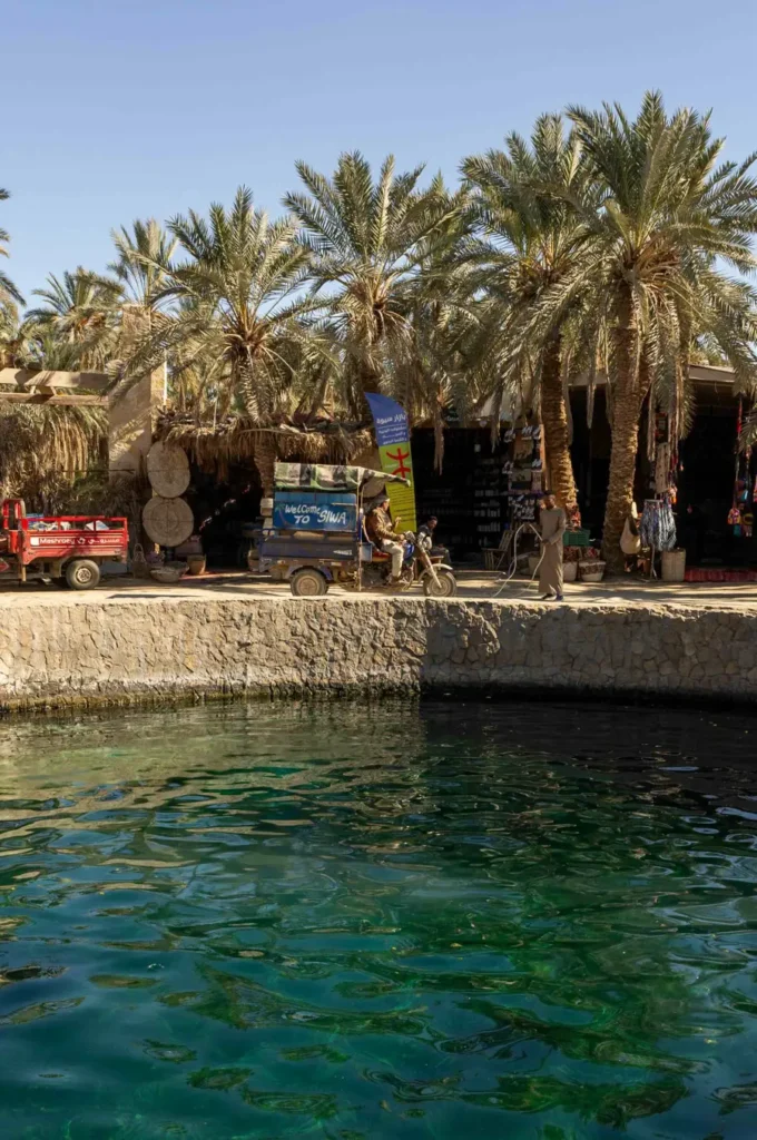 A tuktuk driving on an unpaved road with palmtrees in the background and a clear spring in the foreground