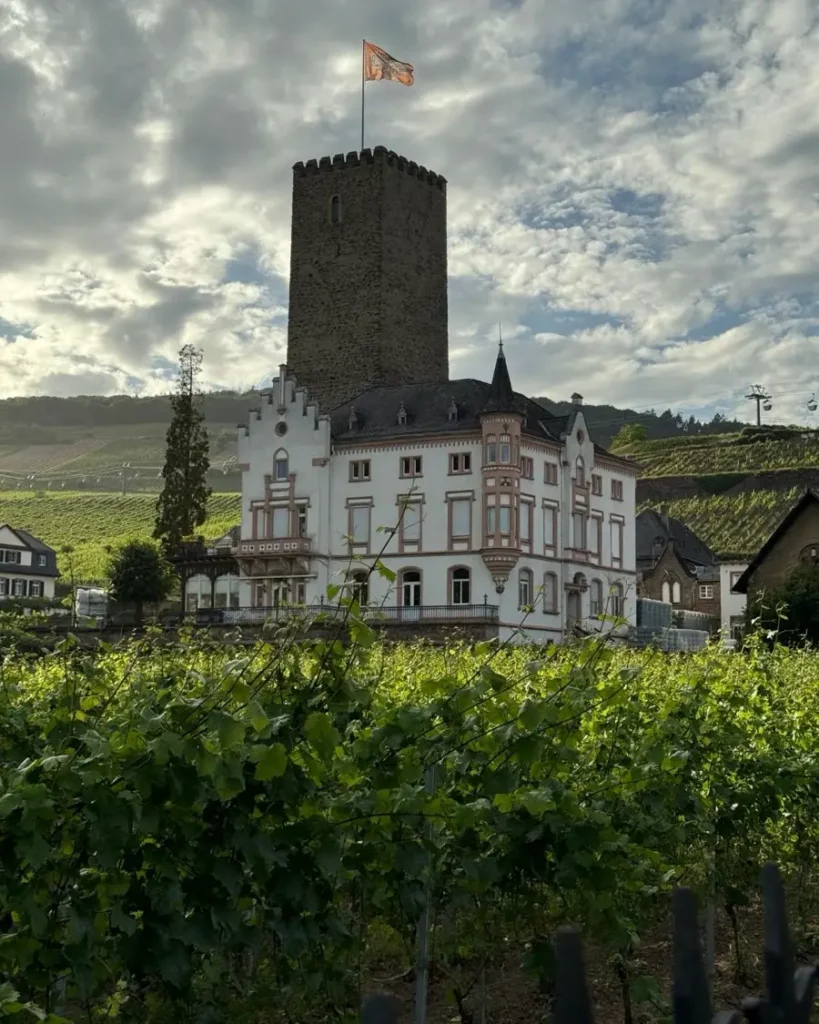 Unique castle with an ancient castle tower built into a traditional house surrounded by vineyards in Rüdesheim, Germany