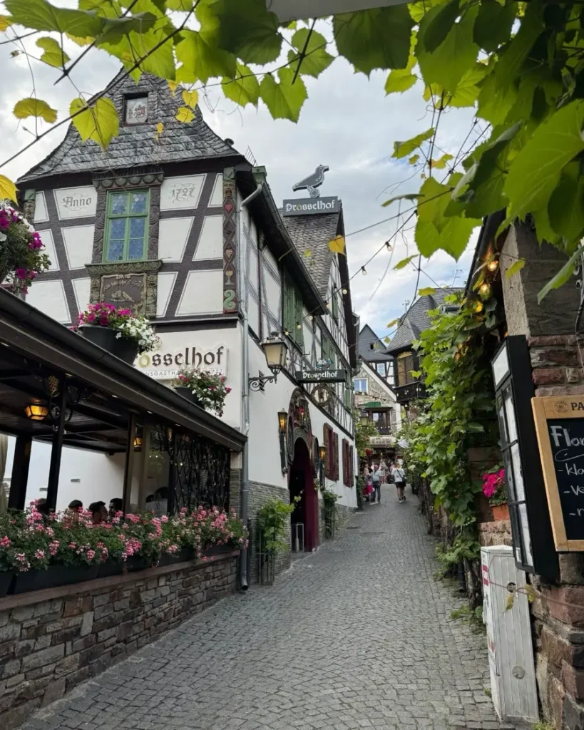 Charming cobblestone alley with vine and traditional half-timbered houses in Rüdesheim am Rhein, Germany