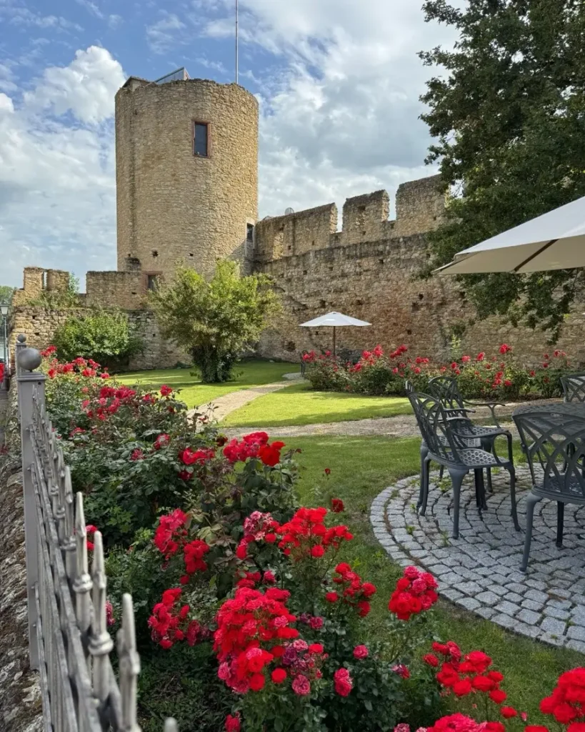 A beautiful garden with a seating area, roses, green grass and an old castle tower and castle walls in Eltville