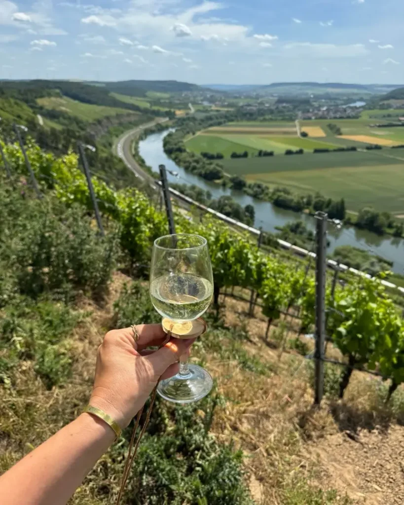 Hand holding a glass of white wine with a view of a river valley with vineyards and rolling hills along the Main river