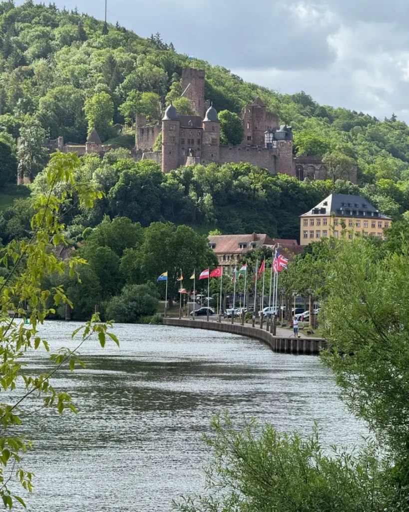 A large castle towering above a small medieval town along a river with green vegetation all around