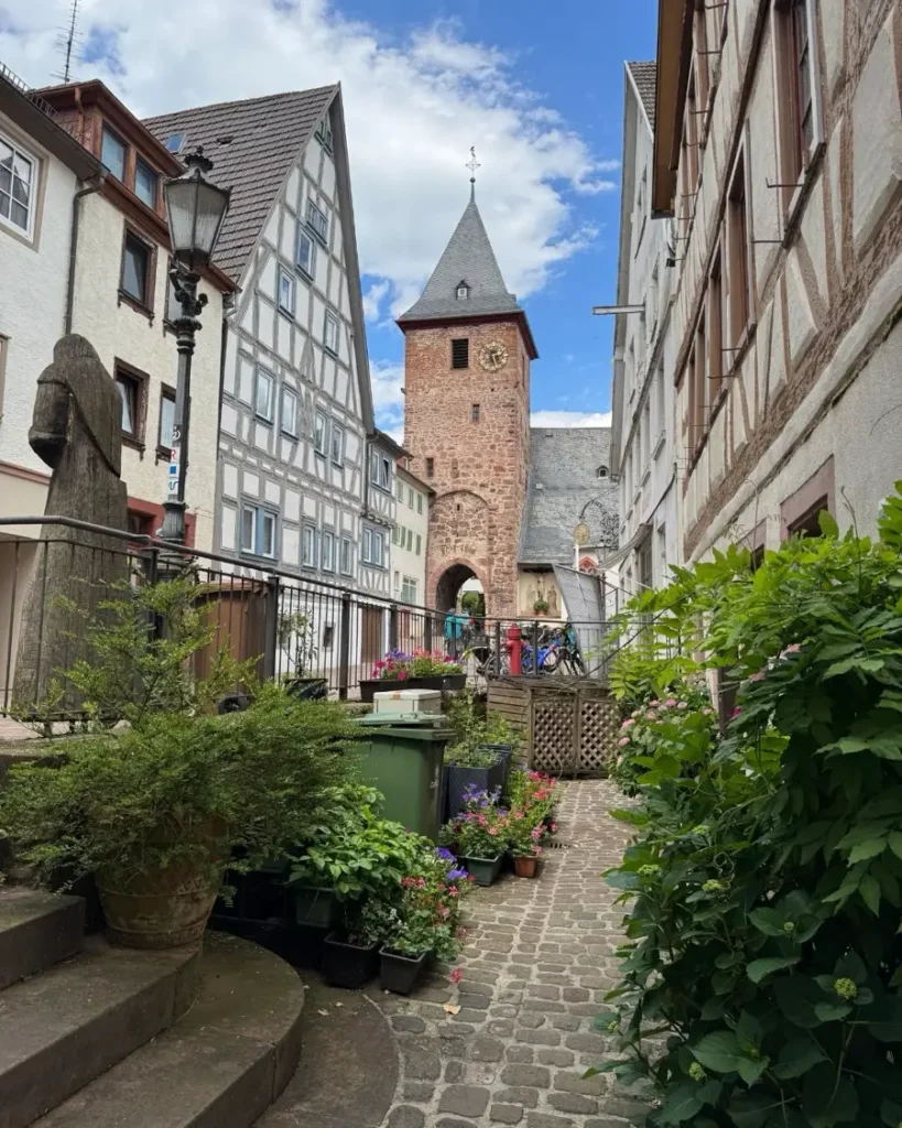 charming medieval old town with statues, a tower gate, half-timbered houses and plants in Hirschhorn, Germany