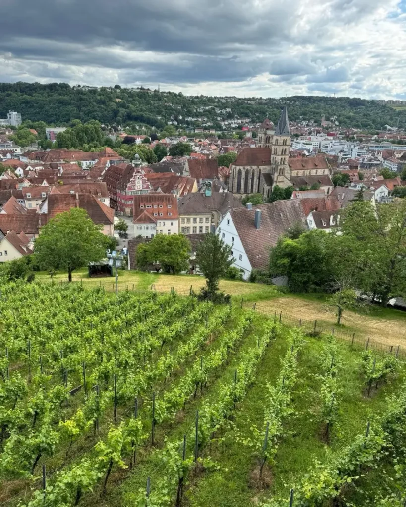Historic old town view from a hill with vineyards in the fairytale town of Esslingen, Germany