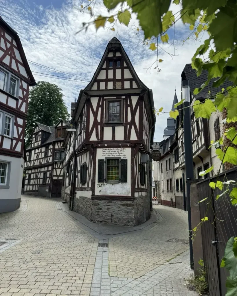 Traditional half-timbered houses in the small town of Brauchbach in Germany with vine in the foreground and cobblestone roads