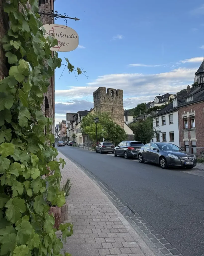 Vines in the foreground of an old town with traditional houses, some parked cars along the road and a medieval tower