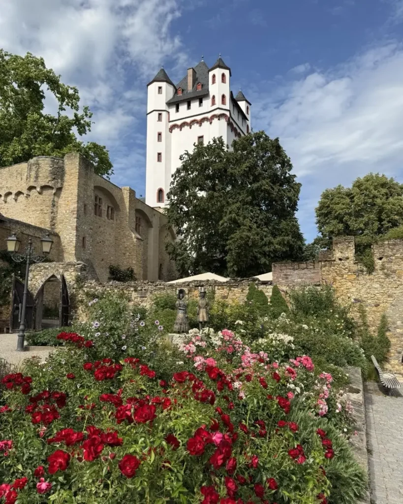 A unique castle in the back of a colourful garden with many roses and trees in the fairytale town of Eltville in Germany