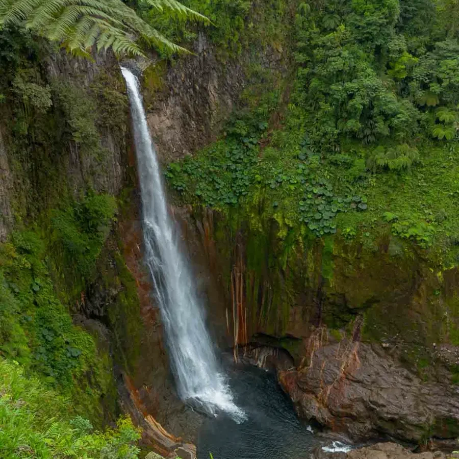 high waterfall in the jungle dropping down into a gorge