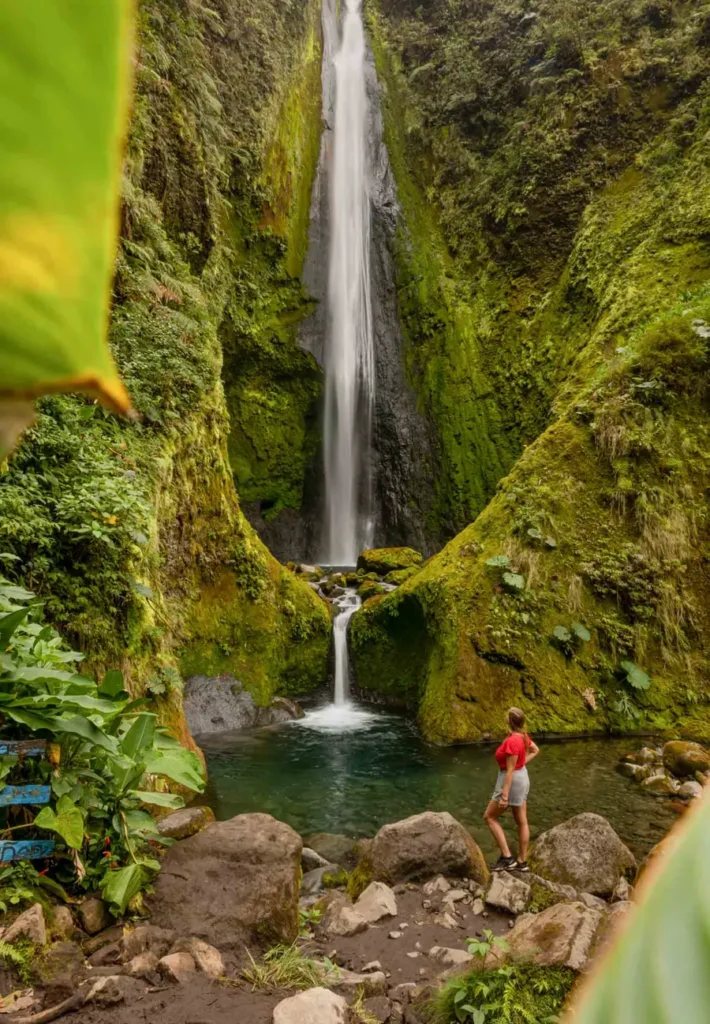 woman standing in the jungle in front of a waterfall with two pools between mossy rocks