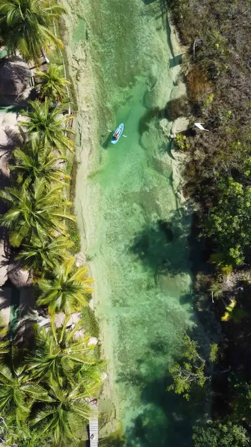 drone shot of a slow river in a jungle with palm trees, the water appears to be clear and a person is in a kayak, for your perfect mexico itinerary