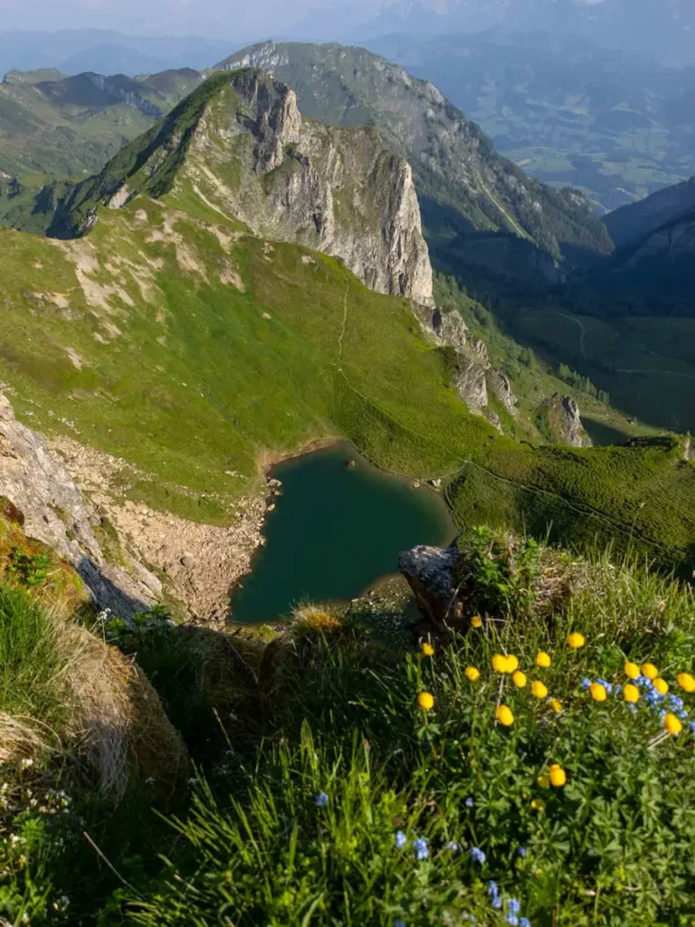 mountain scenery with  a mountain lake, rock formations, yellow flowers and green grass