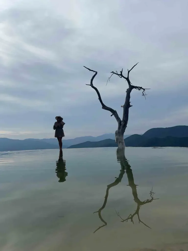silhoutte of a woman standing having a view on mexican moutains and hills and a tree without leaves with a body of water in the front mirroring the silhoutte of the woman and the tree