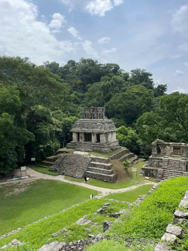 Palenque archeological site with steps and houses made out of stone and a few paths within green grass surrounded by mexican forest 