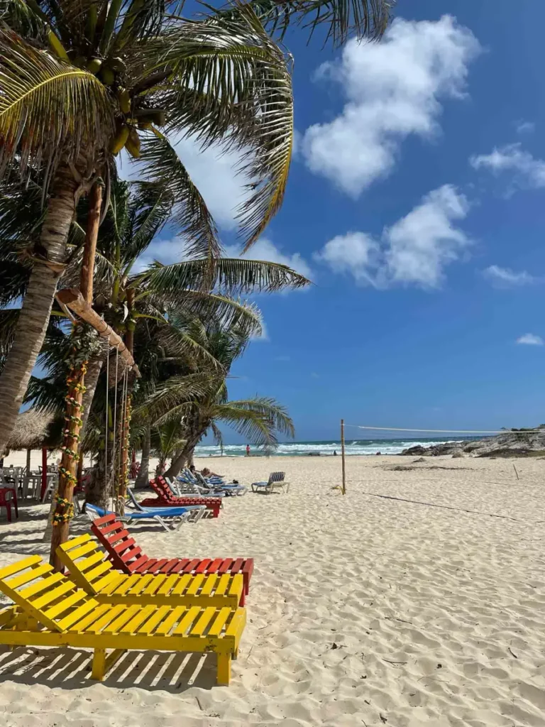 Playa Punta Arena with white sand beach and big palm trees overlooking a few colorful wooden chairs, and an area with lots of tables and chairs, next to it is a beach volleyball net, in the back there are some rocks on the bach and the blue water 