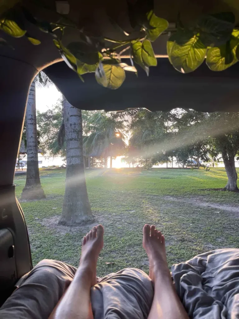 picture from laying inside the trunk of a car with fake vines as decorations seeing legs of a person on a comfy blanket looking at the nature with trees at sunrise