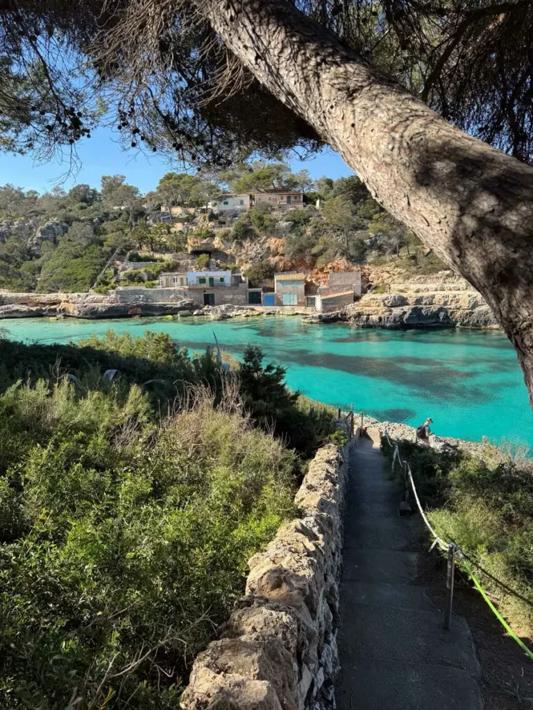 a rocky staircase leading down to a bay with gorgeous turquoise water and a few houses and trees