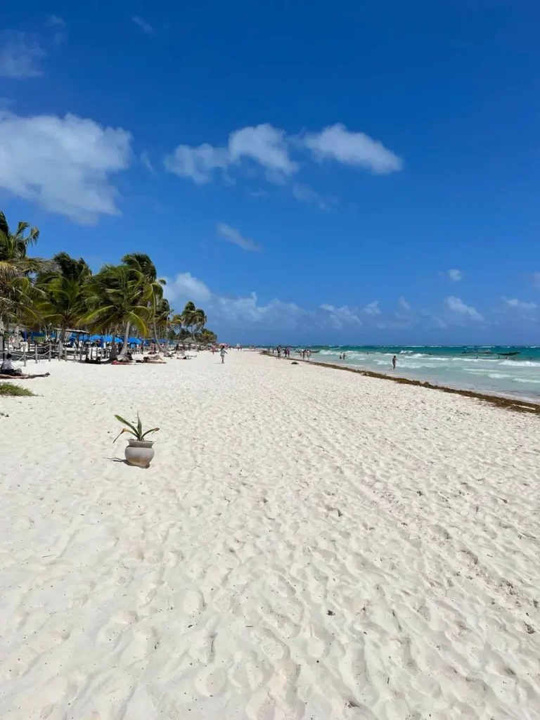 Playa las palmas in tulum mexico a white long beach with thin sand and blue water a lot of palm trees and some areas with umbrellas and laychairs in the back