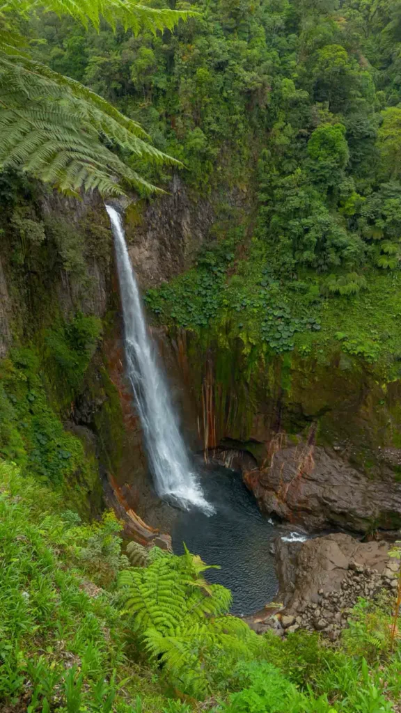 long thing waterfall with multiple layers forming a round body of water surrounded by greenery and overgrown rocks in the middle of the jungle in bajos del toro costa rica