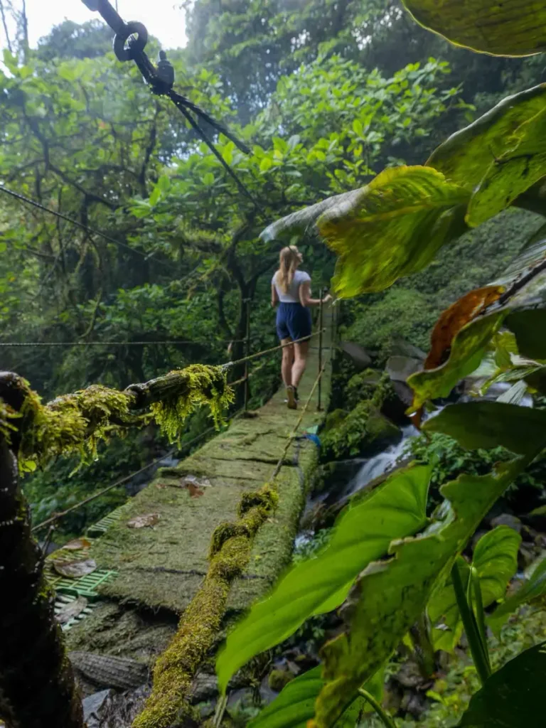 blonde woman standing on a hanging overgrown bridge and waterfall at Paraiso Manantiales surrounded by green overgrown rocks and the jungle in bajos del toro in costa rica