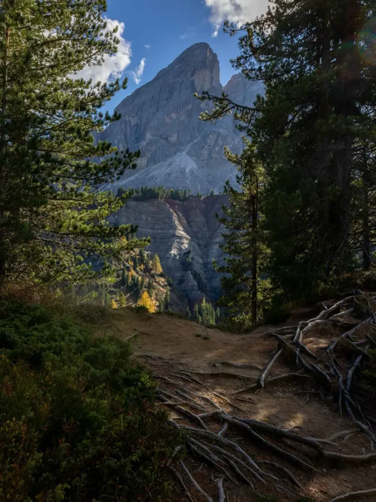 View of a unique mountain peak between trees from a viewpoint at Passo Gardena in the Dolomites