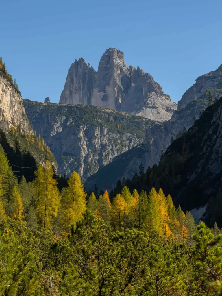 Stunning mountains with 3 peaks (Tre Cime di Lavarado) in the distance  with colourful trees in the foreground in the Dolomites